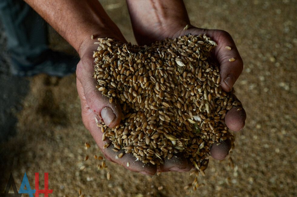 ��� �������� ����� �� ������������ �������� ����������� � �������