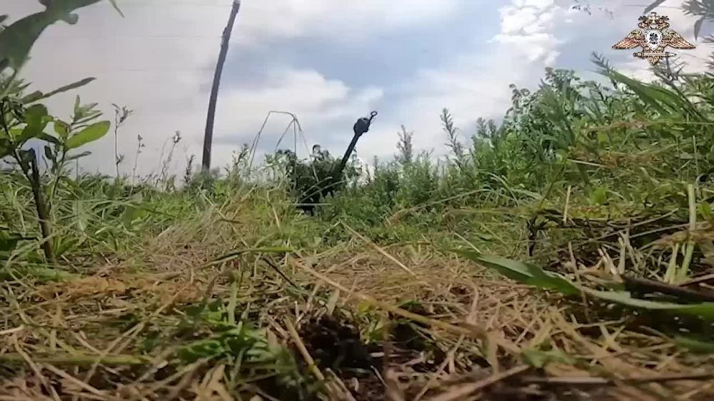 ������ �� �������������� ������� ���������� ������������� ������������