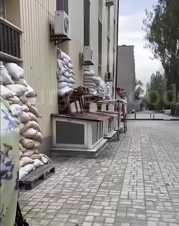 ��� ���,�������� ����