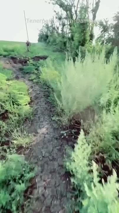 ������ �������: ��� �������� � ��������� � ������ �.�. �������� �� ����������� ����������� ���������� ���-1