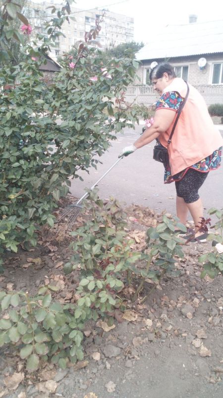 ���� �����������: �������, 04 ��������, ������ ������������ ����������� ���� ��������� ������ �� ��������� ������� � ������� �� ���������� �. �������: