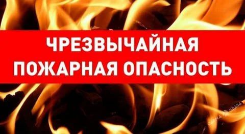 ���������� ��������������