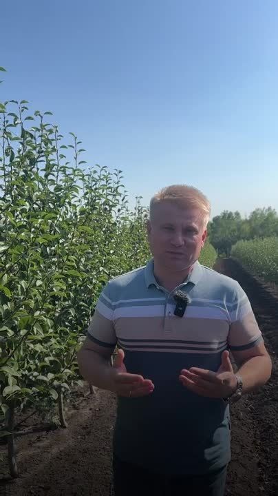 ����-������� ����� ���������� �� �������� ������ ������� ������: