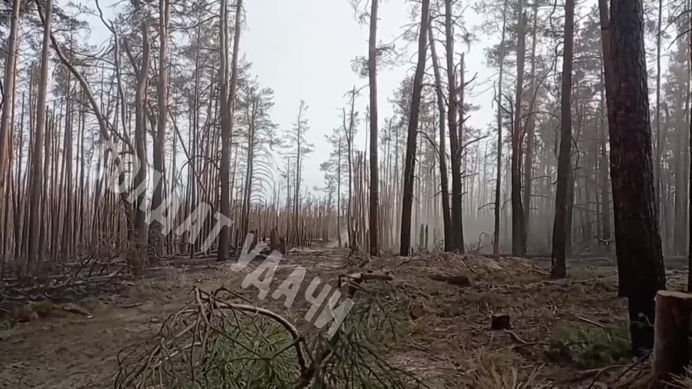 ������ ���-4� �� ���������