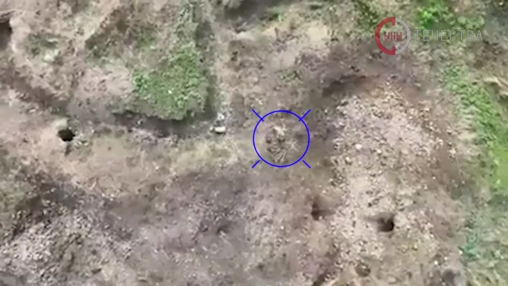 ����������� ���������� �������� ������� 88-� ������� ��� �� ��������� ����������� ������� ����� "���� ���������"