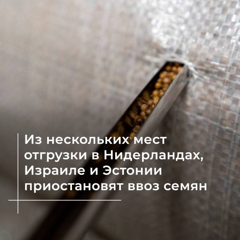 ���������������� � 6 �������� ���������������� ���� ����� �� ���������� ���� �������� �����������, ������� � �������