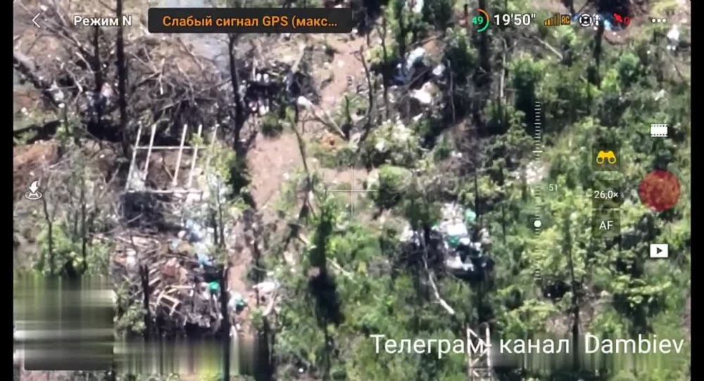 ������ �������: ������ ������ �� ������������� ���������������� ��������� ����� ��� ������, ������������ ����������� ������ ������