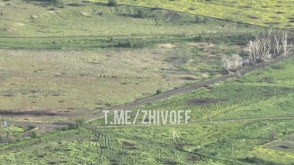 ������� �����: ����� ��������� ����� ���� � ������� ���������� �� �������� ����������� ����� �������