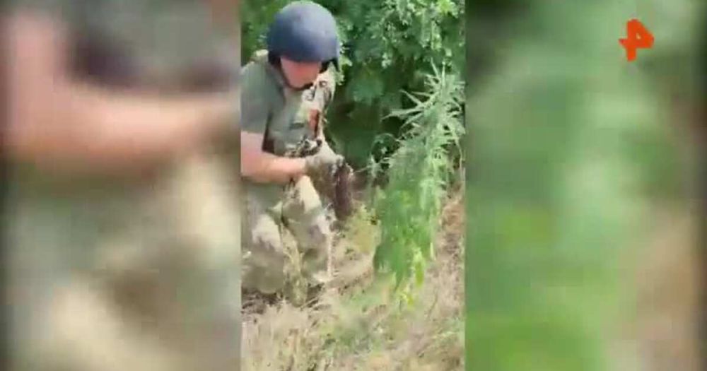 � ��� ��������� ����� � ������������ ���