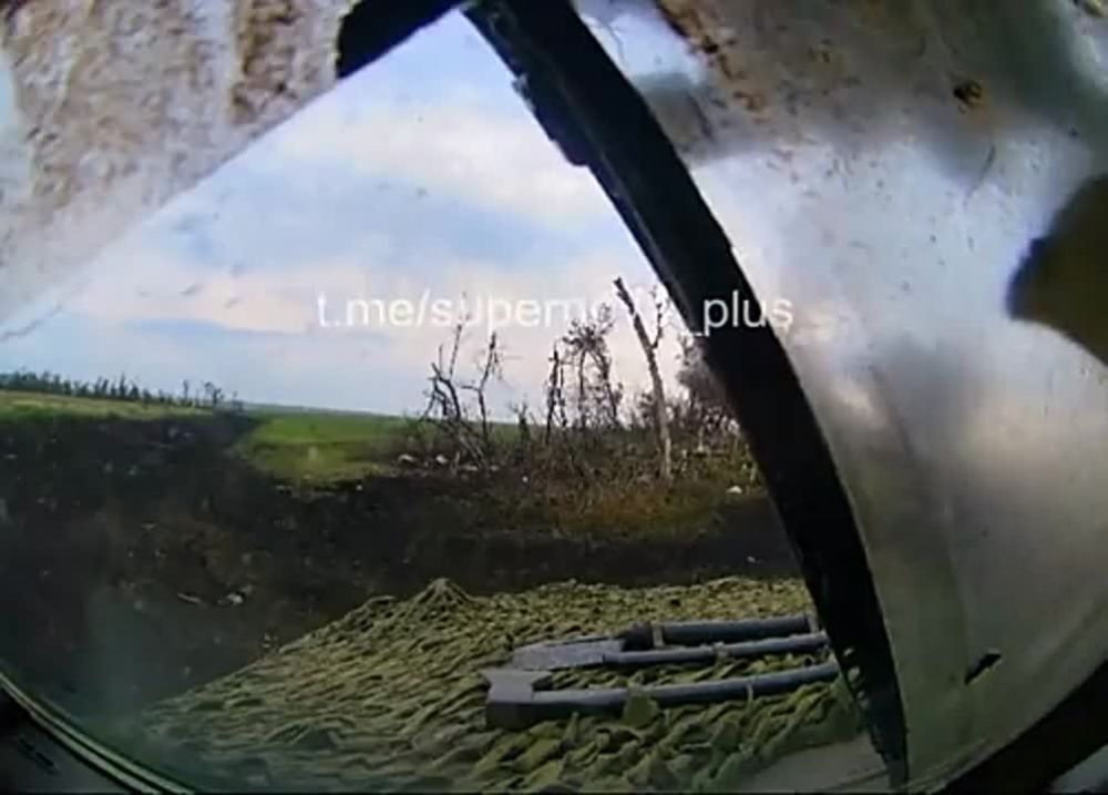 ������ �������: ������ ������� �� ��������������� ���� ������������� ���������������� �113 � �������� ��� �� ����������� �����������