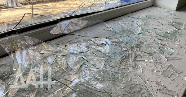 ���� ������� �����, 10 ���������� � ��� �� ���� ��� �� �����