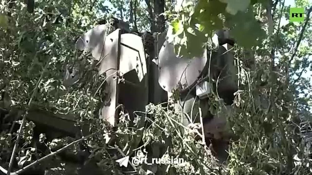 ���, ��� ������, � �� �� ����� �����, �������� ��� ������ �� ���� �������