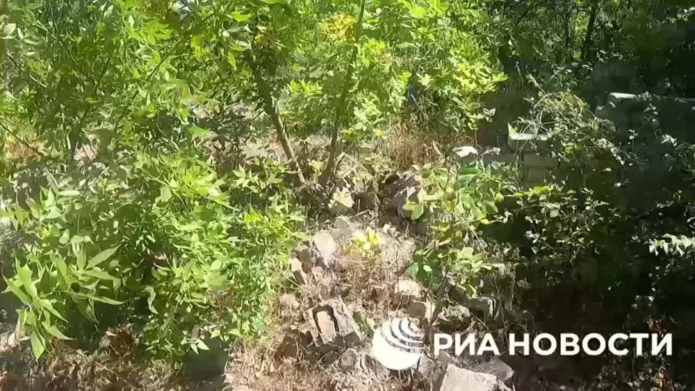 ���������� ���� ��� �������� ������� ������������� ������������ �������