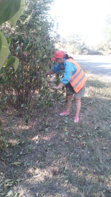 ���� �����������: �������, 08 ��������, ������ ������������ ����������� ���� ��������� ������ �� ��������� ������� � ������� �� ���������� �. �������: