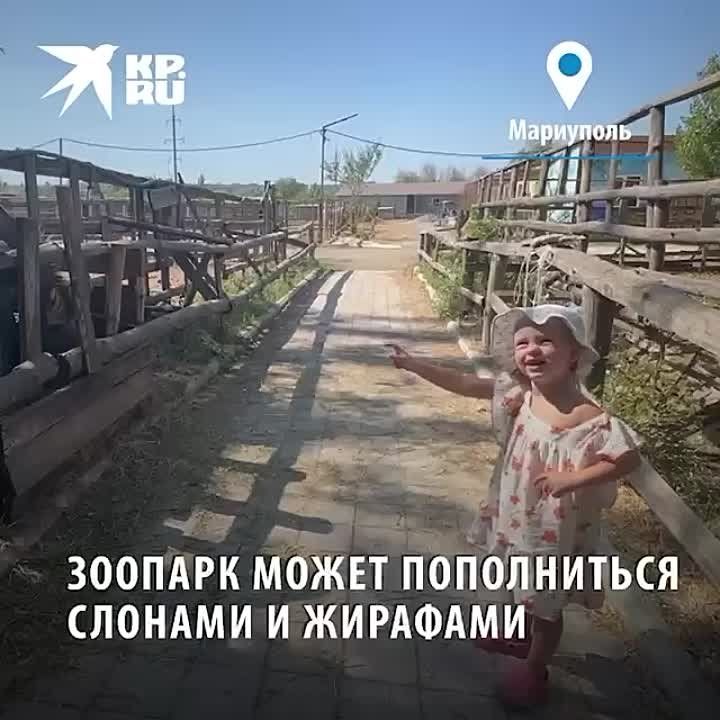 ������������� ������� ���������� ������������������