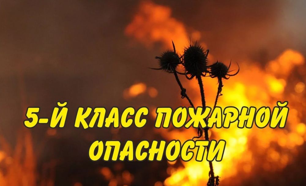 ��������. 9-10 �������� 2023 ���� � �������� �������� ����������, ����� ������-