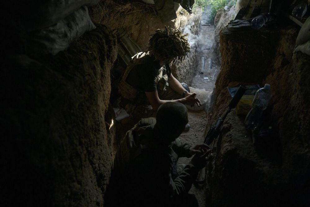 Не только кусты: названа новая неожиданная причина проблем ВСУ