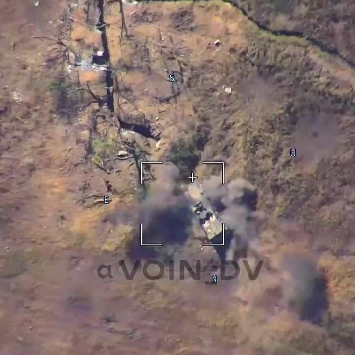 ���� �������: ��������� ��������� ��������������� Kirpi � ������ �.�. ������������� (����-�������� �����������)