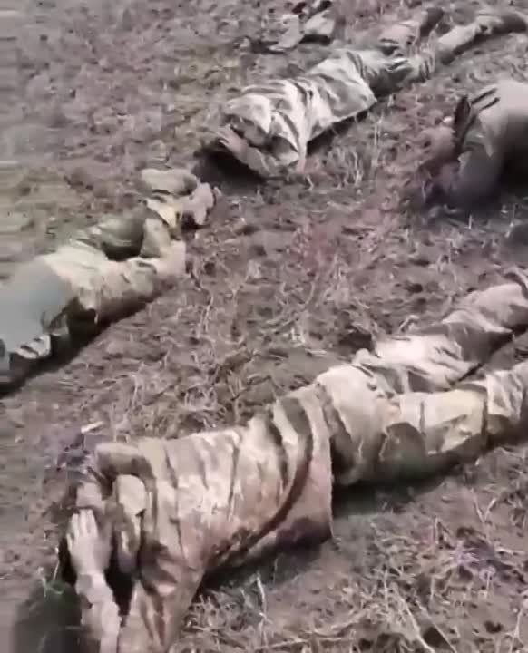 ����� ���������: ��������� ������� � �������