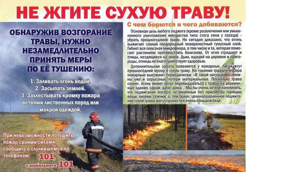 ���� ������: ����� �� ����� ����� � ����� ������������� ������������� ������ �. ������� ���������� � ��������� ��� ����������� ������� �����