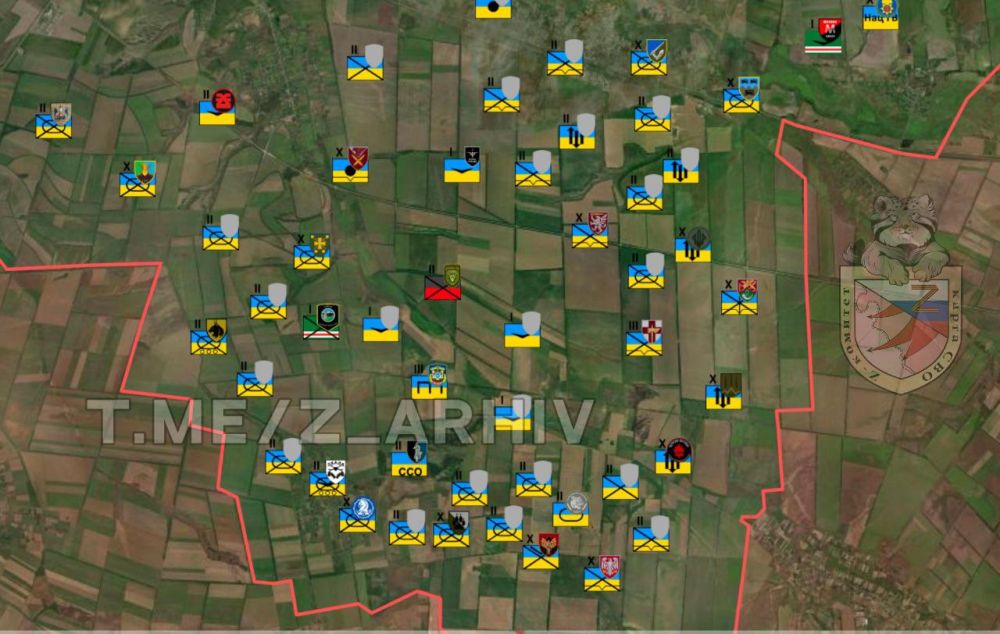 ����� �����: "�� ��������� � �������". �������� ��� ����� ���������������� ��, ��� 80 ����� ���������� �� ��� ��������� � ����� �������� � ����������� ��������