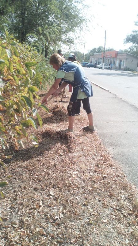 ���� �����������: �������, 11 ��������, ������ ������������ ����������� ���� ��������� ������ �� ��������� ������� � ������� �� ���������� �. �������: