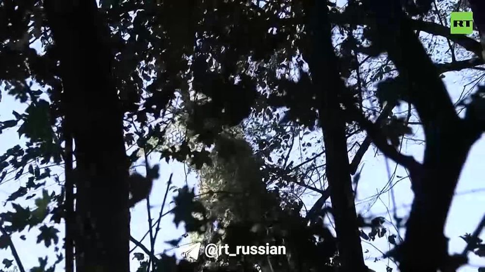 ������������ �� ���������� ���������� ��������� ����� � ���������, � ����� ����������� ����������� �� ����-�������� ����������� �� ������ 2�65 �����-��