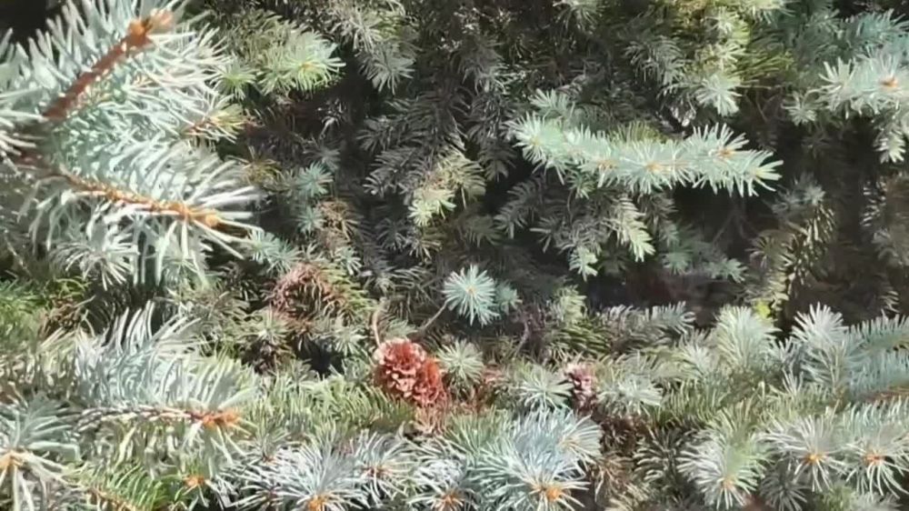 Владислав Ключаров: Дорогие макеевчане!. Наш город – город трудовой доблести. Город промышленных гигантов, глубоких шахт...