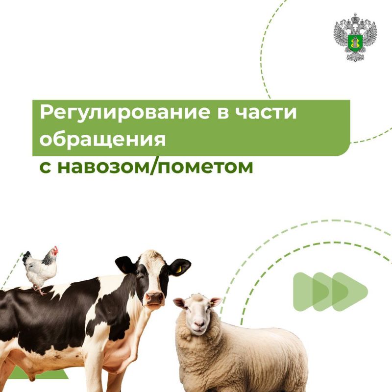 � ������ ������ ����������������, ���������� � ���� � ���� ����, ��� ����� ������������� ��������� � �������/�������, ���������� ��� ��������