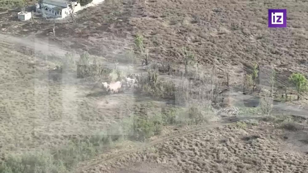 ���������� ������������ ���������� � �������, ����� ���� "������" �������� ���������� ��� �� ������� �����