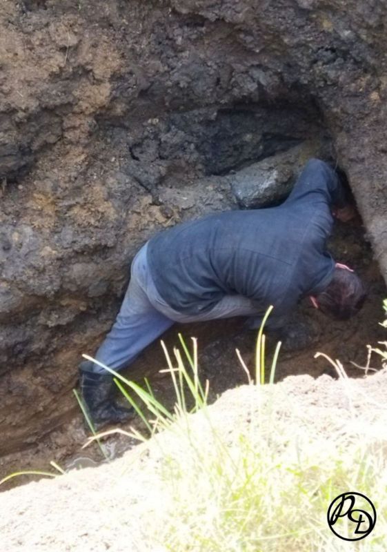 ������ ��������: � ��������� ������������ ���������� � ������-������� �������