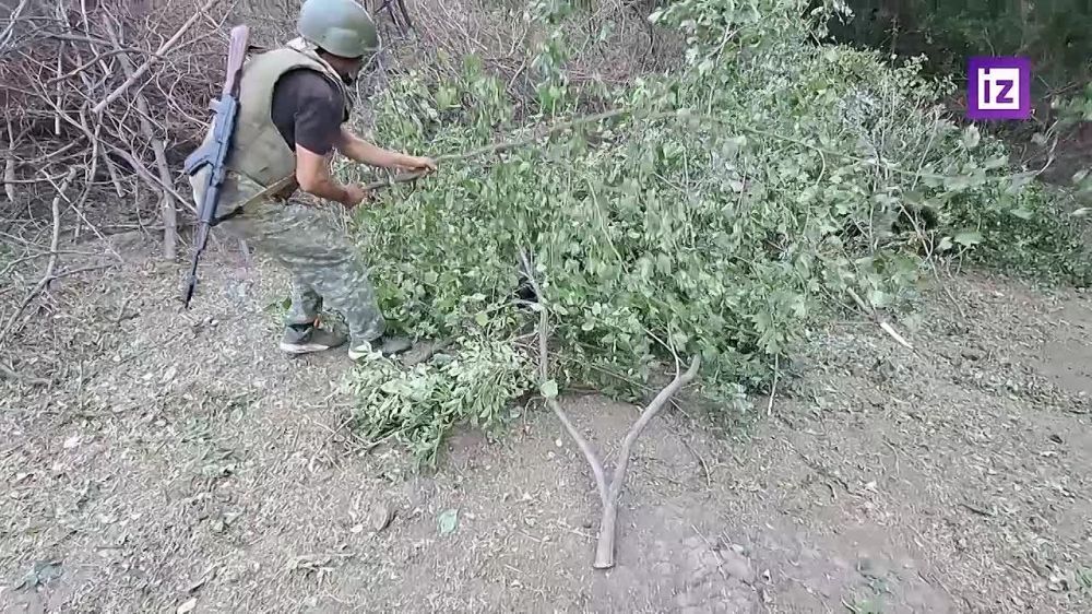 ������� ������� �������� ��� ������� �� ��. ����������� ���������� �� ������� ���� ������� ��������