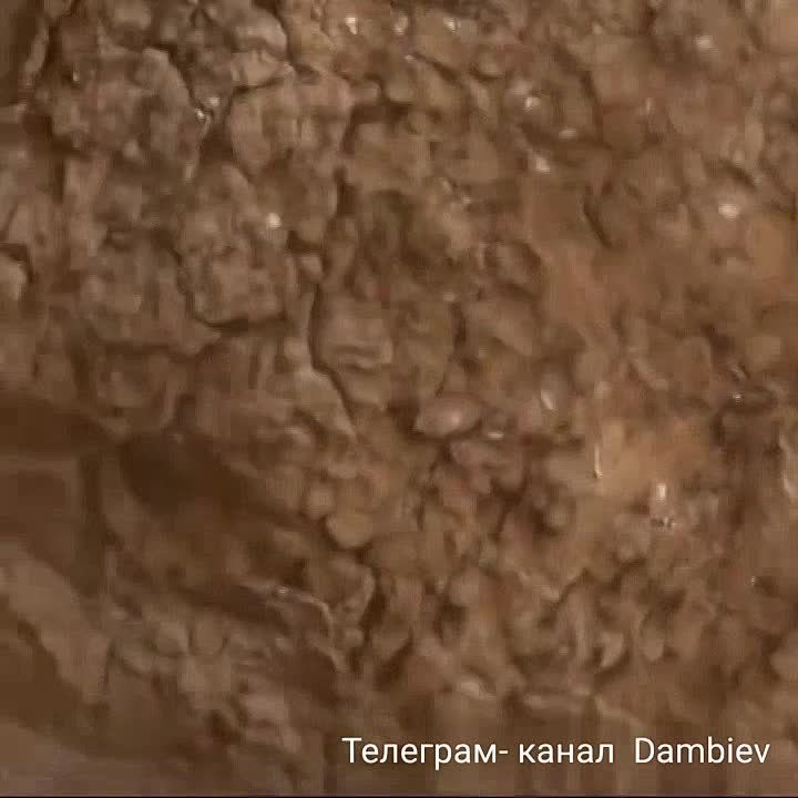 ������ �������: "� ��������, � ��������". ��������� ��������� ������� � ���������� ������� � ������ �.�. ��������� �� �������� �����������