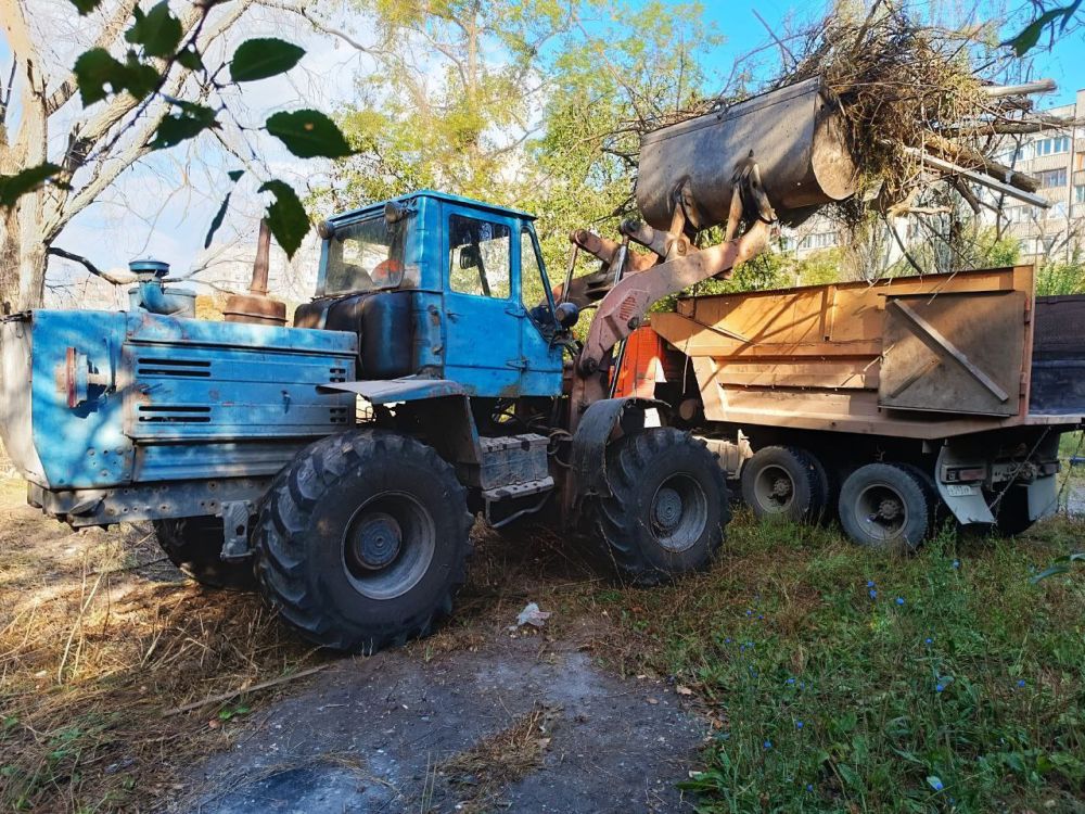 ������� ������: ������� �������������� ������������ ������ �.������� ��������� � ������������ - ������������ ���...