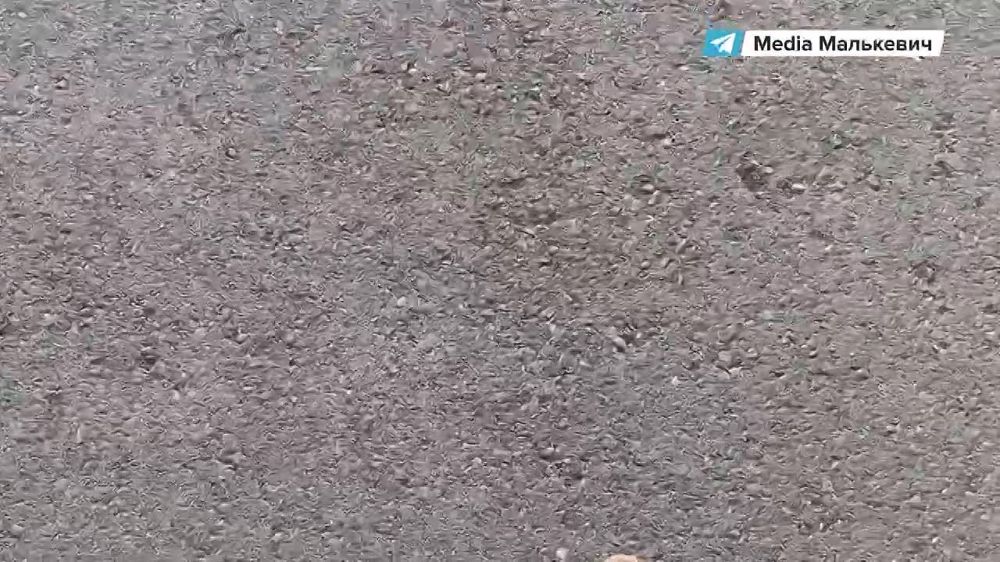 ��������� ���������: ��� ����� ������ ������: ���������, ����� � ���� ��� ������