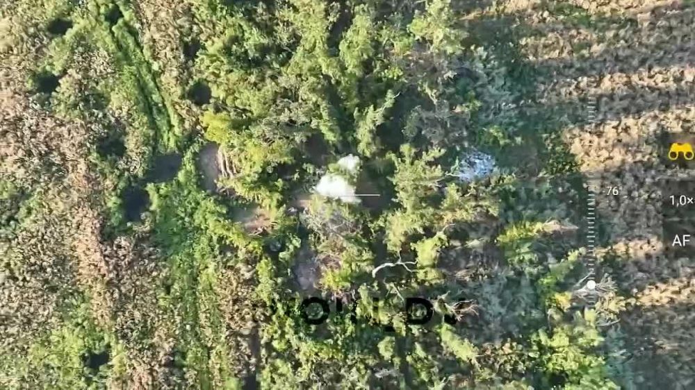��� �������� ������������ ��������� ����� � ������ ��������