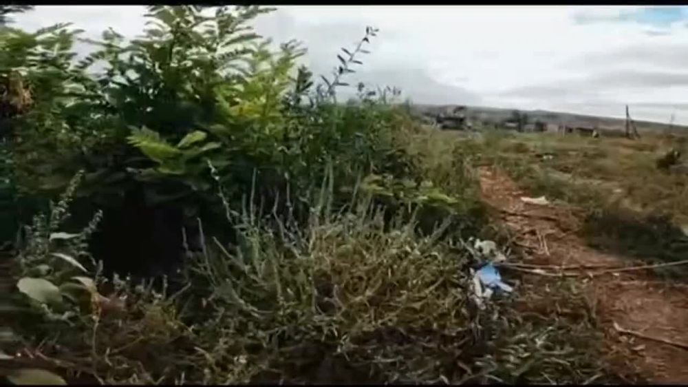 ������ �������: ����� �� ������� ����. �������������� ���� �� �������� ��� ����� �.�. ��������� �� �������� �����������