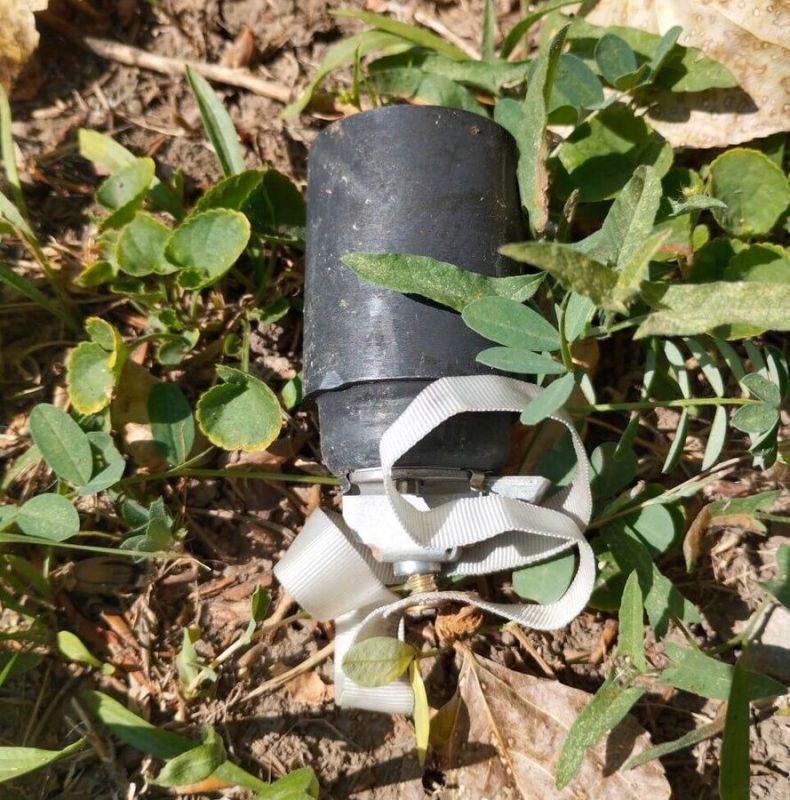 � ��� �� ������ ������� ����� ������ �������