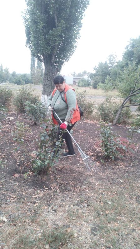 ���� �����������: �������, 15 ��������, ������ ������������ ����������� ���� ��������� ������ �� ��������� ������� � ������� �� ���������� �. �������: