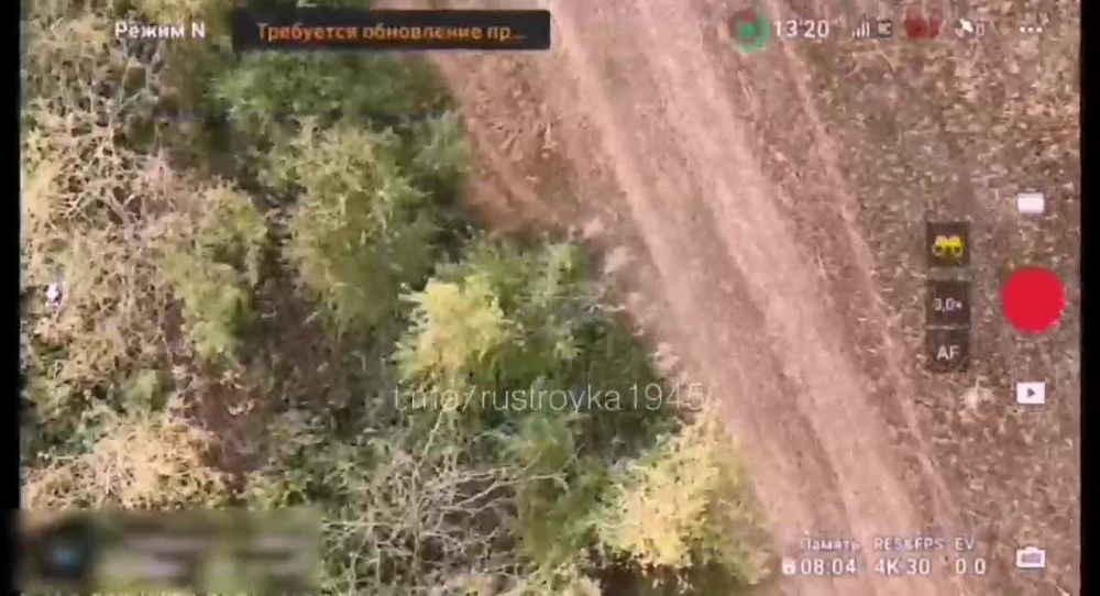 ��� � �������������� � ���������: ������� ������ ����� �� ����� ��������� � ���