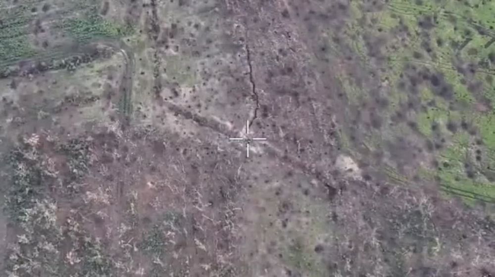 � ������ ��������� � �������� ������������ ������������ ���