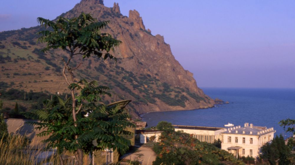 ���� ����� ��������� ������ �������� � ���� � �������