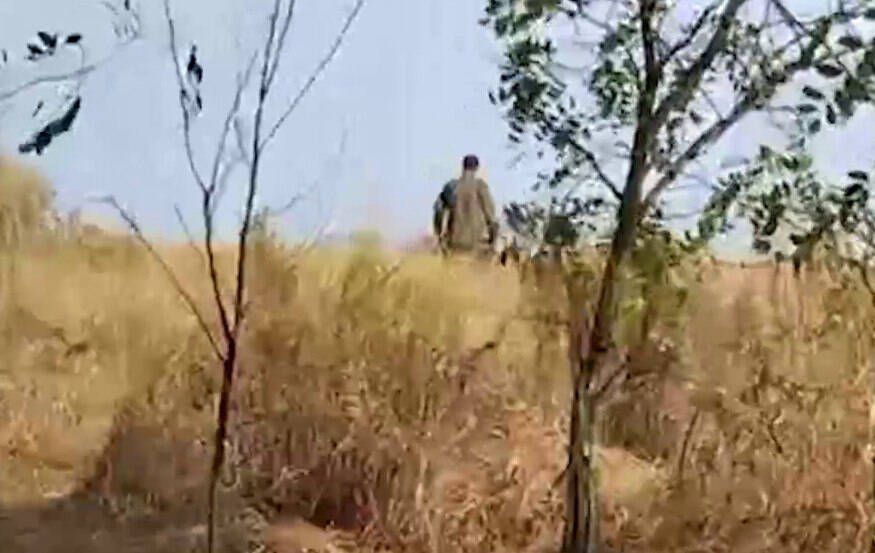 "����� ����� ���������, ���� ����� � ���� ��������": ������ � �������� ��� ����� �������� ����������?