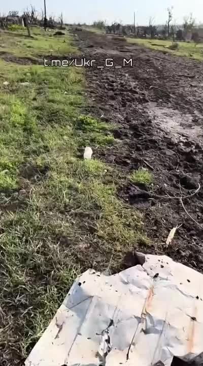 ������� ����������� �� ����� ������������ ���������� ������������ � ���������