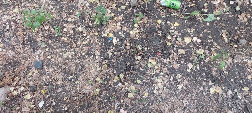 ����� ���� �� ����. ����������� �� ����� ������-���������� ���������� � ���� ��. ��������� ����