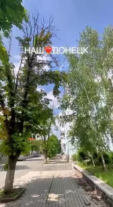 ���� ������: �����-�����, ����� ������!