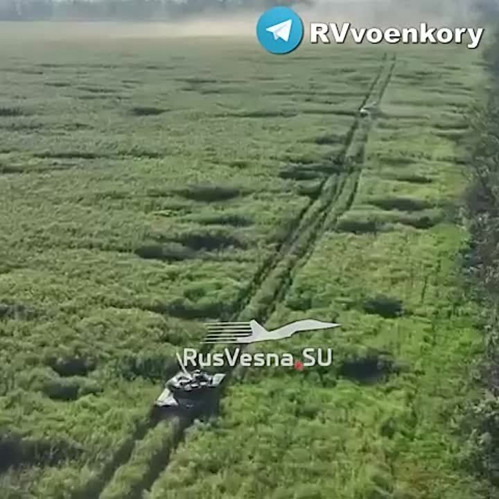 ����������� ���������� ������� ��� � ��������, ���������� �����������