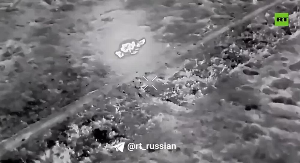 ��� �� ����������� �����������: ������������ �������� ����������� ���