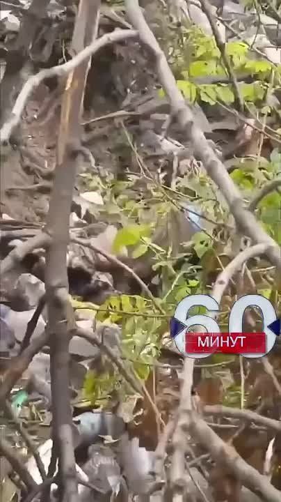 ���������� ������� ���������� ����� ���������