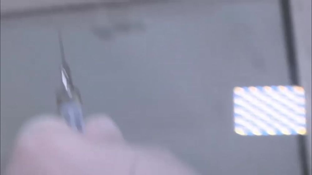 Z� �������! ��������, ��������� ������! 19.09.2023